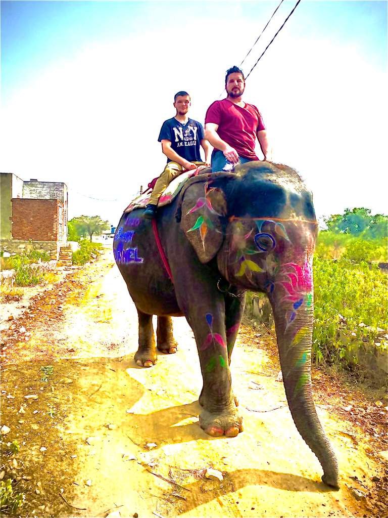 Barry Billcliff family travel photo with a painted elephant in India