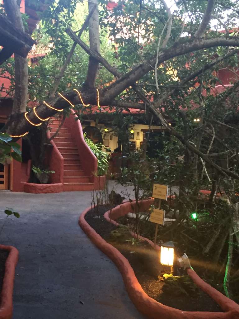 Garden courtyard and walkway from Barry Billcliff's international travel archive