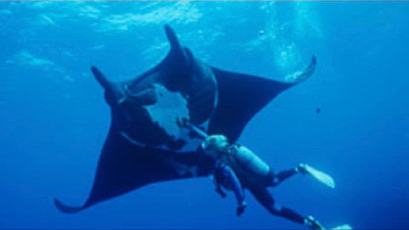 Barry Billcliff scuba diving near a manta ray during an underwater adventure